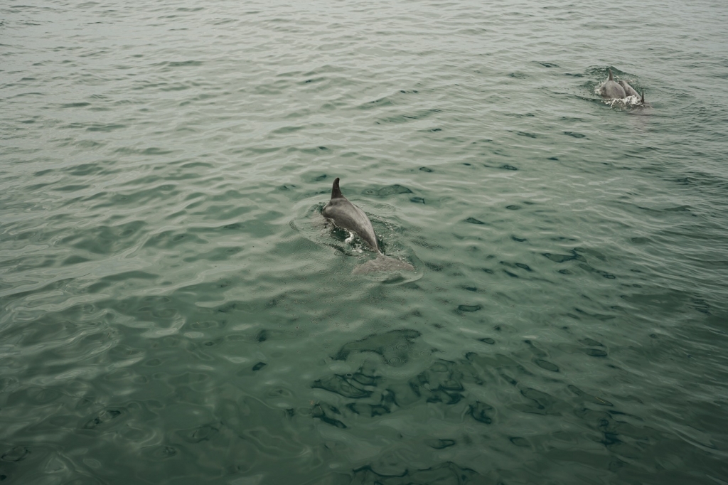 Village Camps International Summer Camp Santa Cruz, Portugal 2025-07-25 https://www.villagecamps.com/journals_admin/images/2887-4652-DSC07278.jpg