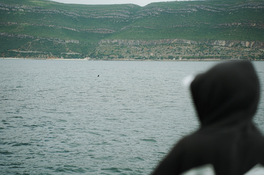 Village Camps International Summer Camp Santa Cruz, Portugal 2025-07-25 https://www.villagecamps.com/journals_admin/images/2887-4656-DSC07286.jpg