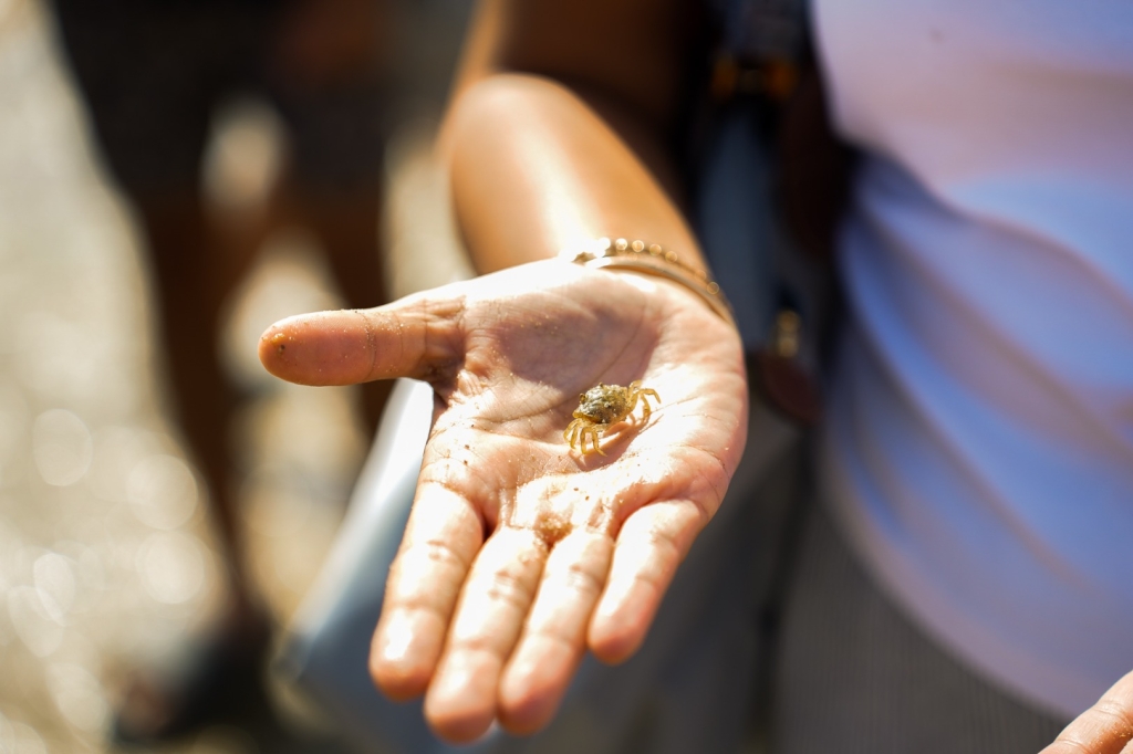 Village Camps International Summer Camp Santa Cruz, Portugal 2025-07-25 https://www.villagecamps.com/journals_admin/images/2900-4835-DSC09607.jpg Village Camps International Summer Camp Santa Cruz, Portugal 2025-07-25 https://www.villagecamps.com/journals_admin/images/2900-4835-DSC09607.jpg