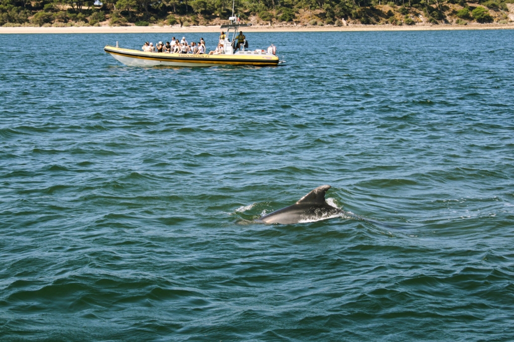 Village Camps International Summer Camp Santa Cruz, Portugal 2025-07-25 https://www.villagecamps.com/journals_admin/images/2901-8649-IMG_7281.jpg Village Camps International Summer Camp Santa Cruz, Portugal 2025-07-25 https://www.villagecamps.com/journals_admin/images/2901-8649-IMG_7281.jpg