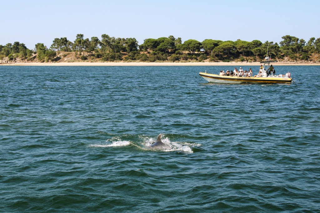 Village Camps International Summer Camp Santa Cruz, Portugal 2026-07-31 https://www.villagecamps.com/journals_admin/images/2901-8649-IMG_7282.jpg