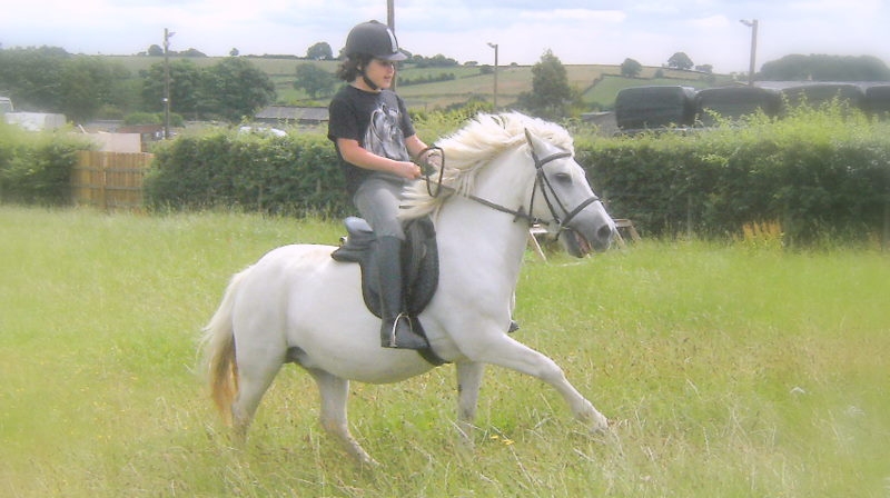 Village Camps International Summer Camp England 2024-07-27 https://www.villagecamps.com/journals_admin/images/103-2-DSCF6423.jpg