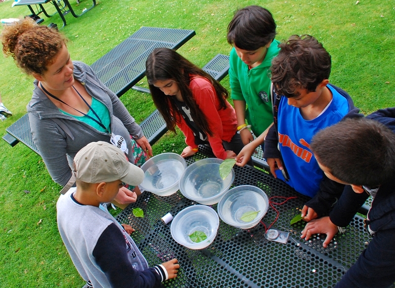 Village Camps International Summer Camp England 2024-07-27 https://www.villagecamps.com/journals_admin/images/1058-23-DSC_5053.jpg