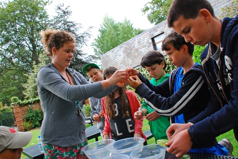 Village Camps International Summer Camp England 2024-07-27 https://www.villagecamps.com/journals_admin/images/1058-23-DSC_5055.jpg