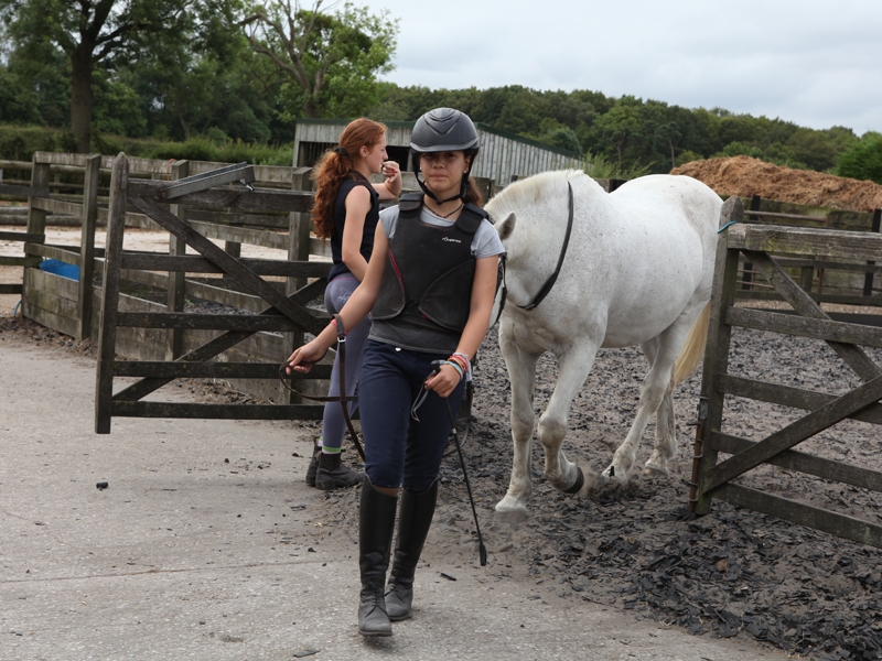 Village Camps International Summer Camp England 2024-07-27 https://www.villagecamps.com/journals_admin/images/1060-2-180714-006.jpg Village Camps International Summer Camp England 2024-07-27 https://www.villagecamps.com/journals_admin/images/1060-2-180714-006.jpg