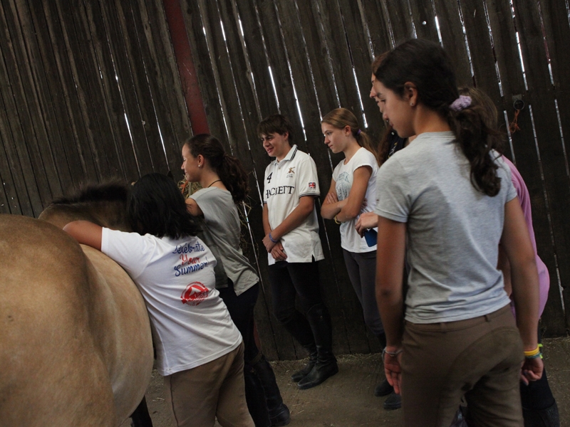 Village Camps International Summer Camp England 2024-07-27 https://www.villagecamps.com/journals_admin/images/1060-2-180714-033.jpg Village Camps International Summer Camp England 2024-07-27 https://www.villagecamps.com/journals_admin/images/1060-2-180714-033.jpg