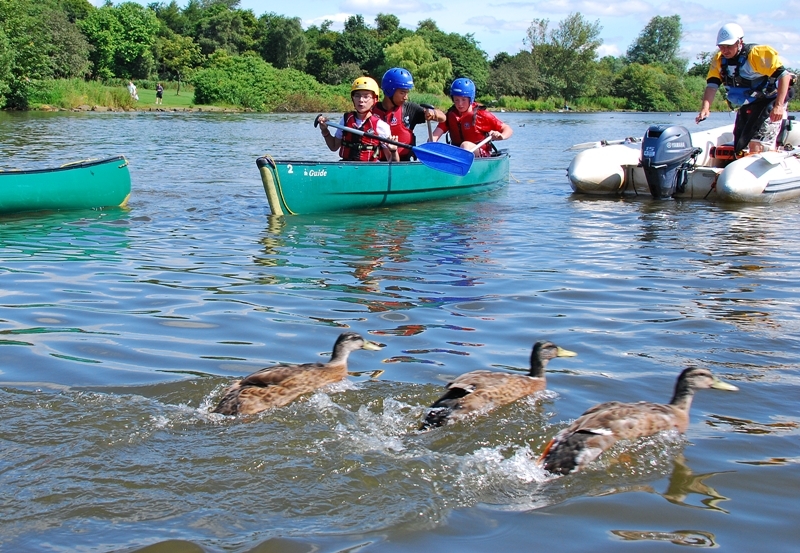 Village Camps International Summer Camp England 2024-07-27 https://www.villagecamps.com/journals_admin/images/1063-25-DSC_5958.jpg