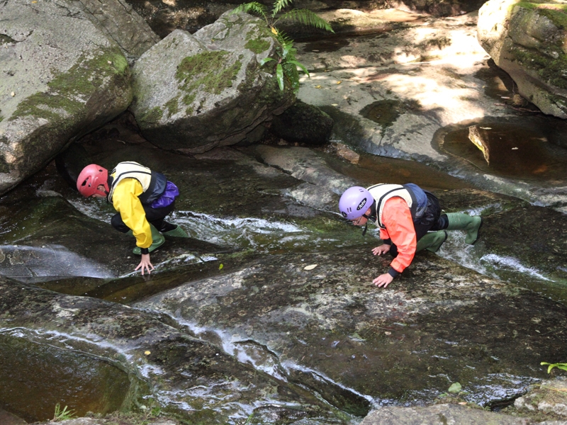 Village Camps International Summer Camp England 2024-07-27 https://www.villagecamps.com/journals_admin/images/1065-43-230714-034.jpg Village Camps International Summer Camp England 2024-07-27 https://www.villagecamps.com/journals_admin/images/1065-43-230714-034.jpg