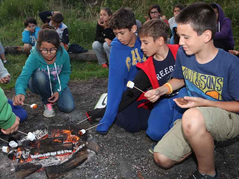 Village Camps International Summer Camp England 2024-07-27 https://www.villagecamps.com/journals_admin/images/1065-43-230714-082.jpg Village Camps International Summer Camp England 2024-07-27 https://www.villagecamps.com/journals_admin/images/1065-43-230714-082.jpg