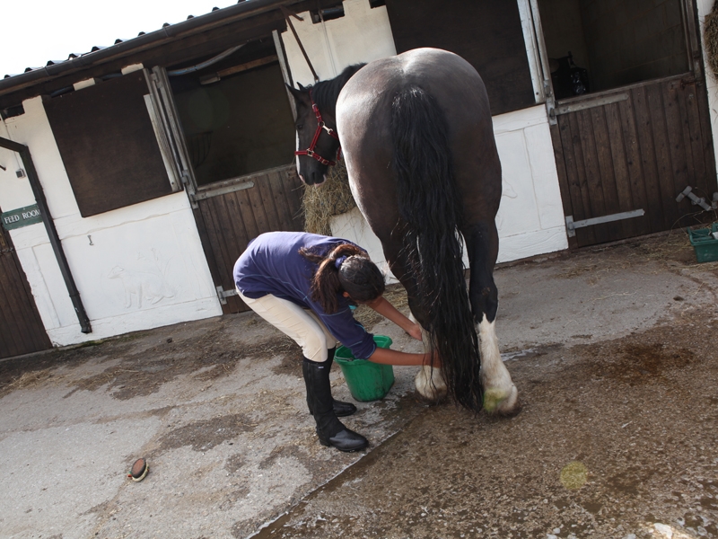 Village Camps International Summer Camp England 2024-07-27 https://www.villagecamps.com/journals_admin/images/1077-2-040814-004.jpg Village Camps International Summer Camp England 2024-07-27 https://www.villagecamps.com/journals_admin/images/1077-2-040814-004.jpg
