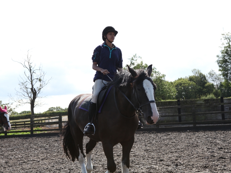 Village Camps International Summer Camp England 2024-07-27 https://www.villagecamps.com/journals_admin/images/1077-2-040814-040.jpg Village Camps International Summer Camp England 2024-07-27 https://www.villagecamps.com/journals_admin/images/1077-2-040814-040.jpg