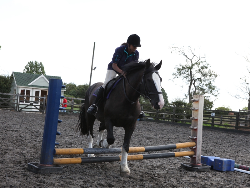 Village Camps International Summer Camp England 2024-07-27 https://www.villagecamps.com/journals_admin/images/1077-2-040814-046.jpg Village Camps International Summer Camp England 2024-07-27 https://www.villagecamps.com/journals_admin/images/1077-2-040814-046.jpg