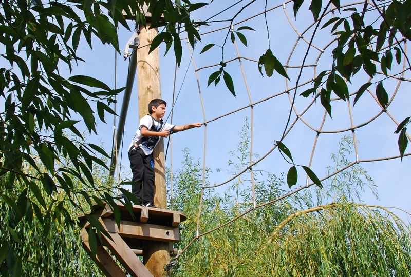 Village Camps International Summer Camp England 2024-07-27 https://www.villagecamps.com/journals_admin/images/1078-9-DSC_8314.jpg