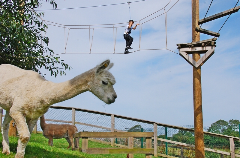Village Camps International Summer Camp England 2024-07-27 https://www.villagecamps.com/journals_admin/images/1078-9-DSC_8402.jpg Village Camps International Summer Camp England 2024-07-27 https://www.villagecamps.com/journals_admin/images/1078-9-DSC_8402.jpg