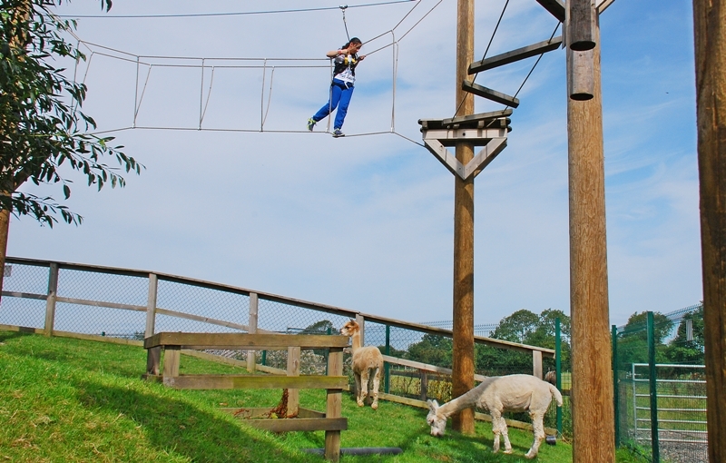 Village Camps International Summer Camp England 2024-07-27 https://www.villagecamps.com/journals_admin/images/1078-9-DSC_8406.jpg Village Camps International Summer Camp England 2024-07-27 https://www.villagecamps.com/journals_admin/images/1078-9-DSC_8406.jpg