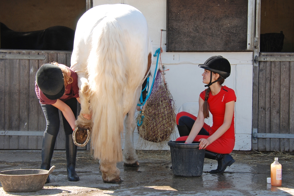 Village Camps International Summer Camp England 2024-07-27 https://www.villagecamps.com/journals_admin/images/1259-3895-DSC_0141.jpg