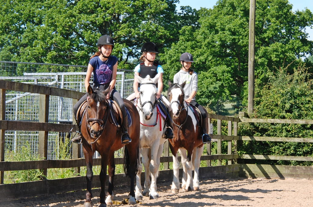 Village Camps International Summer Camp England 2024-07-27 https://www.villagecamps.com/journals_admin/images/1259-3897-DSC_0182.jpg Village Camps International Summer Camp England 2024-07-27 https://www.villagecamps.com/journals_admin/images/1259-3897-DSC_0182.jpg