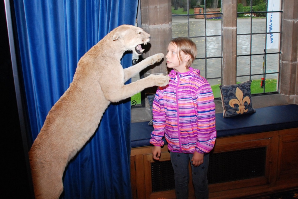 Village Camps International Summer Camp England 2024-07-27 https://www.villagecamps.com/journals_admin/images/1406-7237-DSC_0391.jpg