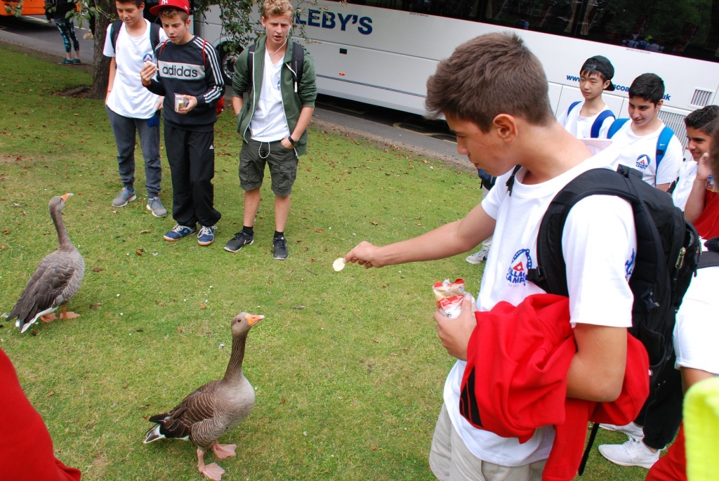 Village Camps International Summer Camp England 2024-07-27 https://www.villagecamps.com/journals_admin/images/1411-7366-DSC_0443.jpg Village Camps International Summer Camp England 2024-07-27 https://www.villagecamps.com/journals_admin/images/1411-7366-DSC_0443.jpg