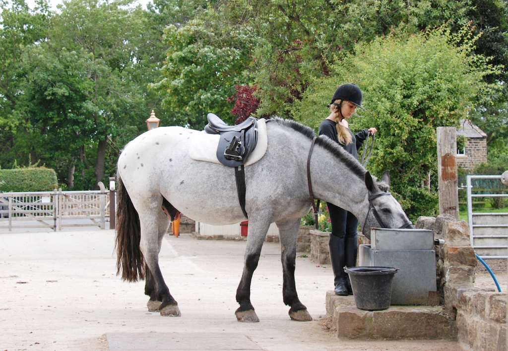 Village Camps International Summer Camp England 2024-07-27 https://www.villagecamps.com/journals_admin/images/1413-5767-DSC_0183.jpg