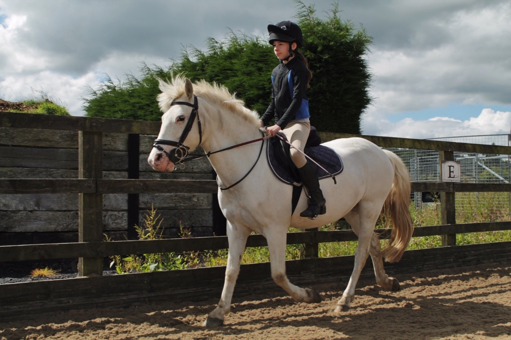 Village Camps International Summer Camp England 2024-07-27 https://www.villagecamps.com/journals_admin/images/1552-3796-IMG_0278.jpg