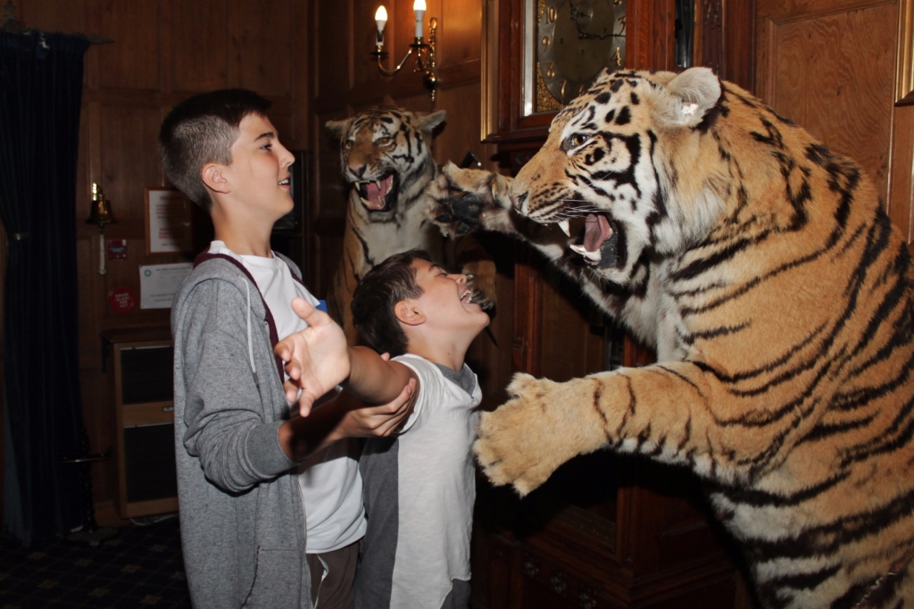 Village Camps International Summer Camp England 2024-07-27 https://www.villagecamps.com/journals_admin/images/1558-2906-IMG_2128.jpg