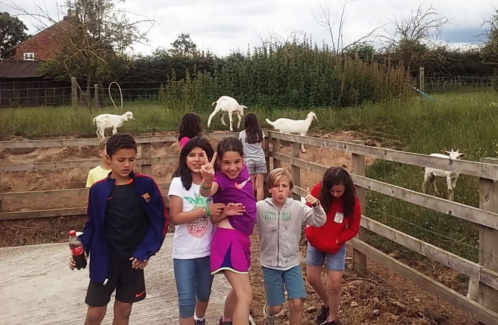 Village Camps International Summer Camp England 2024-07-27 https://www.villagecamps.com/journals_admin/images/1561-4074-ro4.jpg Village Camps International Summer Camp England 2024-07-27 https://www.villagecamps.com/journals_admin/images/1561-4074-ro4.jpg