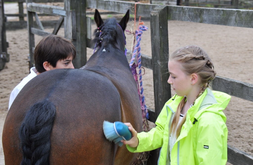 Village Camps International Summer Camp England 2024-07-27 https://www.villagecamps.com/journals_admin/images/1562-0183-WIL_2407.jpg Village Camps International Summer Camp England 2024-07-27 https://www.villagecamps.com/journals_admin/images/1562-0183-WIL_2407.jpg