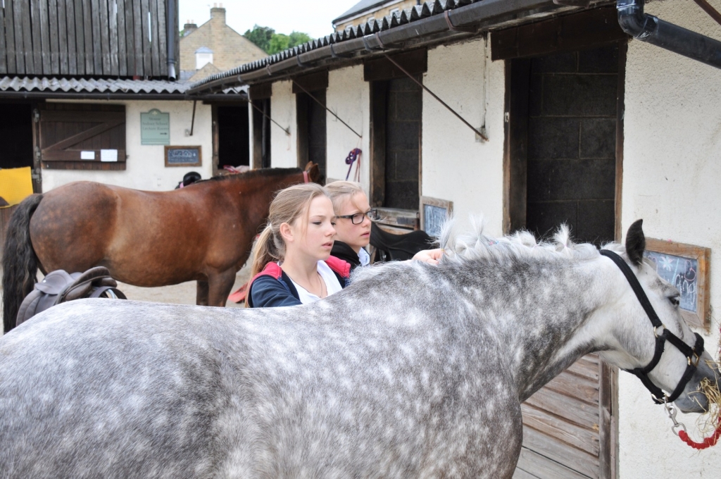 Village Camps International Summer Camp England 2024-07-27 https://www.villagecamps.com/journals_admin/images/1562-0185-WIL_2378.jpg Village Camps International Summer Camp England 2024-07-27 https://www.villagecamps.com/journals_admin/images/1562-0185-WIL_2378.jpg