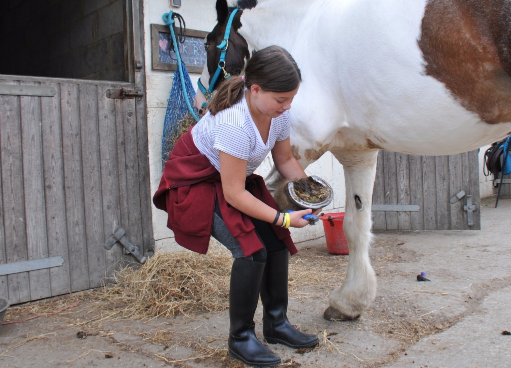Village Camps International Summer Camp England 2024-07-27 https://www.villagecamps.com/journals_admin/images/1562-0186-WIL_2374.jpg