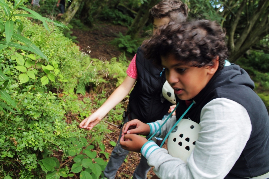 Village Camps International Summer Camp England 2024-07-27 https://www.villagecamps.com/journals_admin/images/1574-9139-IMG_8879.jpg