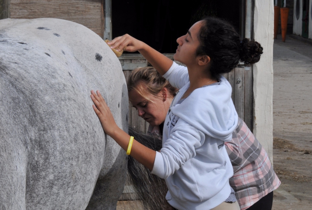 Village Camps International Summer Camp England 2024-07-27 https://www.villagecamps.com/journals_admin/images/1625-5609-WIL_7555.jpg