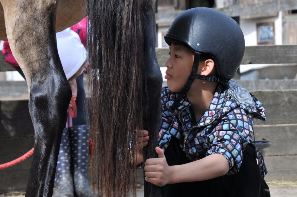Village Camps International Summer Camp England 2024-07-27 https://www.villagecamps.com/journals_admin/images/1625-5610-WIL_7549.jpg