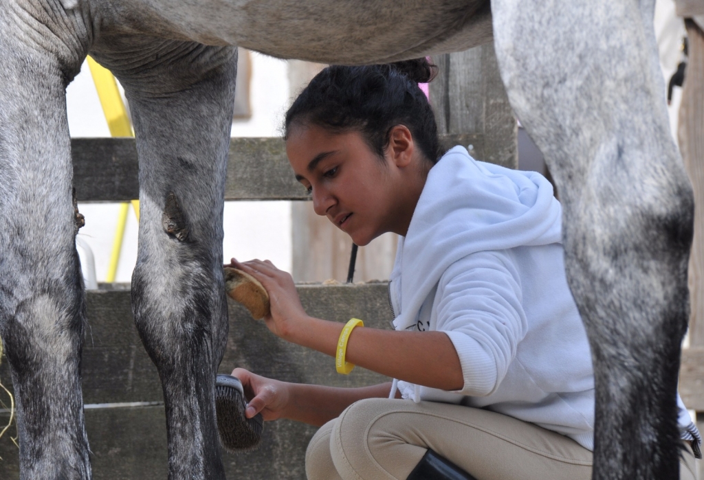 Village Camps International Summer Camp England 2024-07-27 https://www.villagecamps.com/journals_admin/images/1625-5618-WIL_7538.jpg