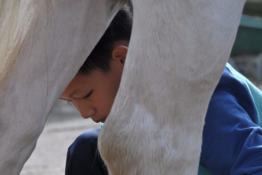 Village Camps International Summer Camp England 2024-07-27 https://www.villagecamps.com/journals_admin/images/1625-5618-WIL_7587.jpg