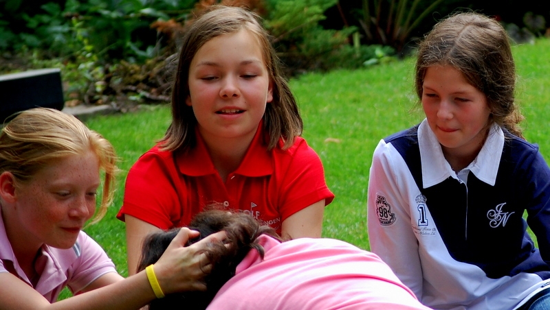 Village Camps International Summer Camp England 2024-07-27 https://www.villagecamps.com/journals_admin/images/176-34-DSC_0244.jpg Village Camps International Summer Camp England 2024-07-27 https://www.villagecamps.com/journals_admin/images/176-34-DSC_0244.jpg