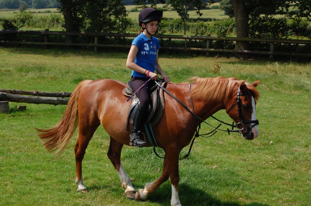 Village Camps International Summer Camp England 2024-07-27 https://www.villagecamps.com/journals_admin/images/1773-8830-DSC_0277.jpg