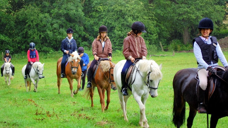 Village Camps International Summer Camp England 2024-07-27 https://www.villagecamps.com/journals_admin/images/179-2-DSC_0240.jpg