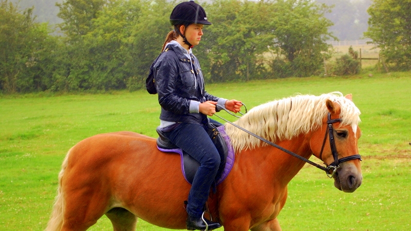 Village Camps International Summer Camp England 2024-07-27 https://www.villagecamps.com/journals_admin/images/179-2-DSC_0247.jpg