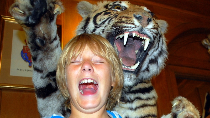 Village Camps International Summer Camp England 2024-07-27 https://www.villagecamps.com/journals_admin/images/180-34-DSC_0027.jpg