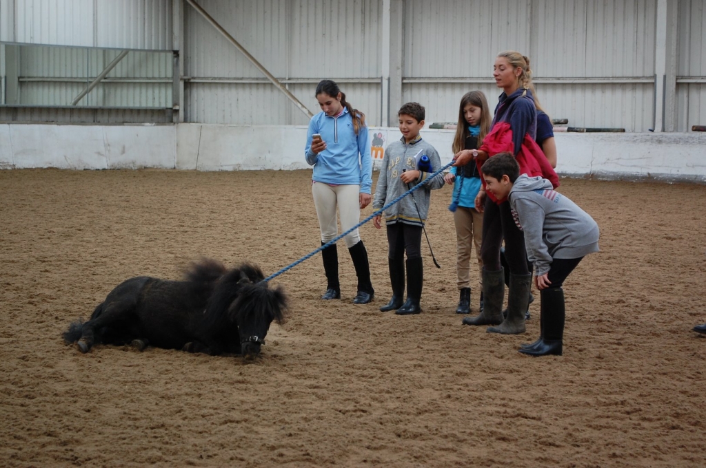 Village Camps International Summer Camp England 2024-07-27 https://www.villagecamps.com/journals_admin/images/1910-9970-DSC_0145.jpg