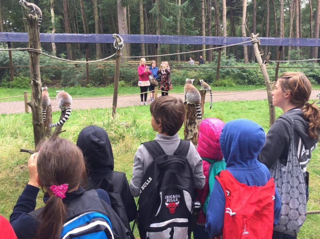 Village Camps International Summer Camp England 2024-07-27 https://www.villagecamps.com/journals_admin/images/1913-3529-20347914_10159250024285121_1937824377_o.jpg Village Camps International Summer Camp England 2024-07-27 https://www.villagecamps.com/journals_admin/images/1913-3529-20347914_10159250024285121_1937824377_o.jpg