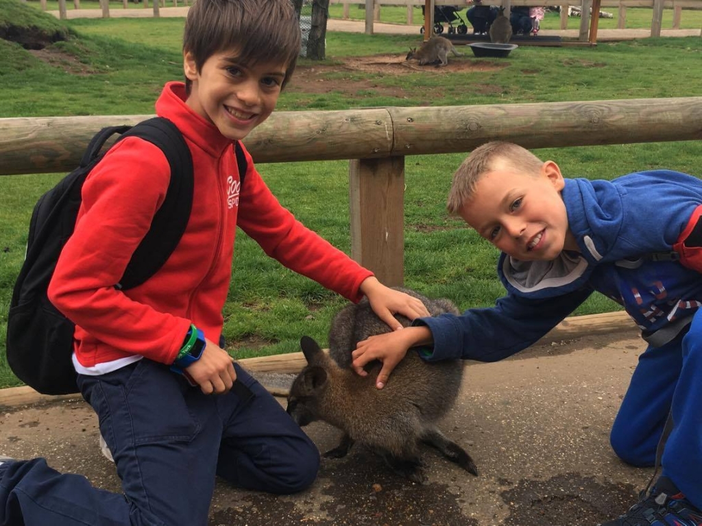 Village Camps International Summer Camp England 2024-07-27 https://www.villagecamps.com/journals_admin/images/1913-3530-20354048_10208964759587612_1499300553_o.jpg Village Camps International Summer Camp England 2024-07-27 https://www.villagecamps.com/journals_admin/images/1913-3530-20354048_10208964759587612_1499300553_o.jpg