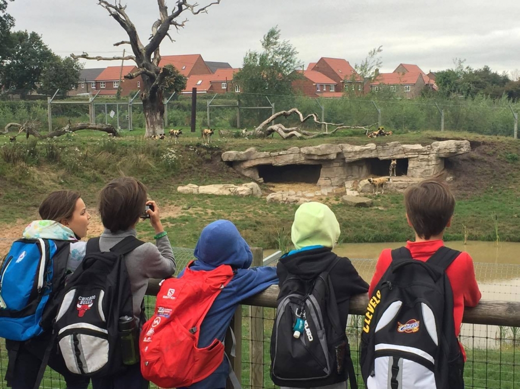 Village Camps International Summer Camp England 2024-07-27 https://www.villagecamps.com/journals_admin/images/1913-3530-20394569_10159250019440121_751181167_o.jpg Village Camps International Summer Camp England 2024-07-27 https://www.villagecamps.com/journals_admin/images/1913-3530-20394569_10159250019440121_751181167_o.jpg