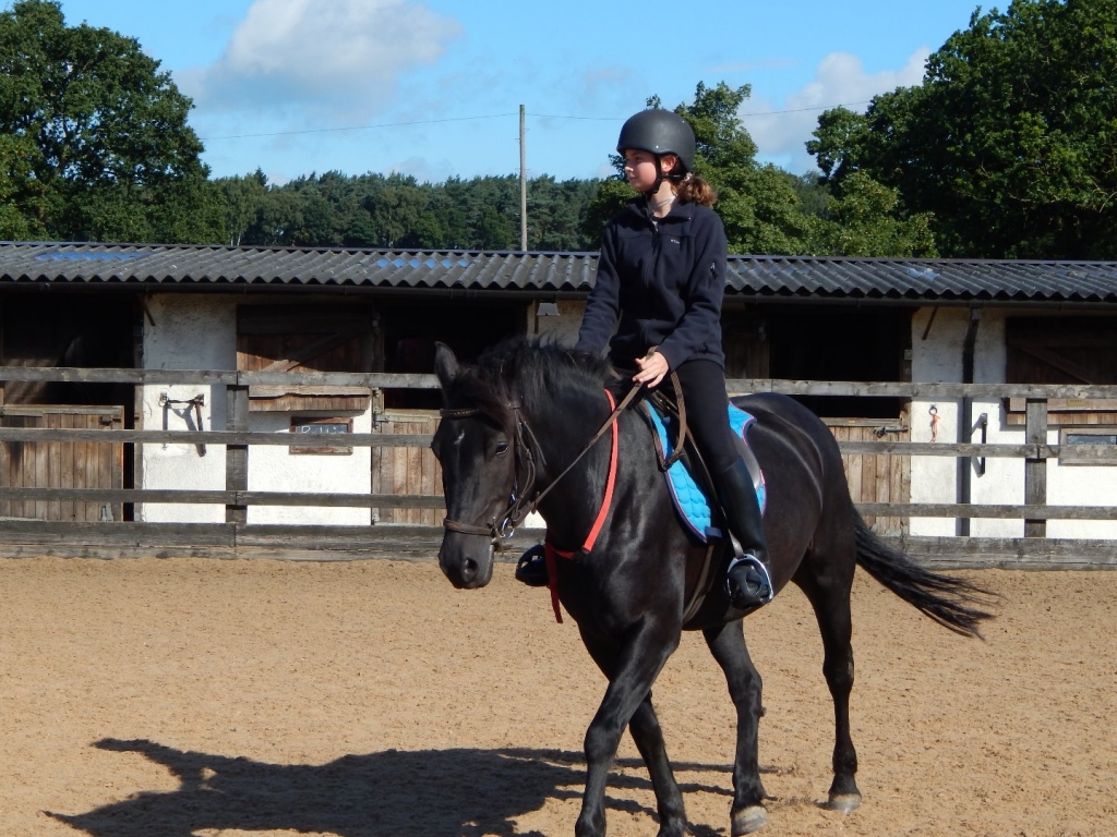 Village Camps International Summer Camp England 2024-07-27 https://www.villagecamps.com/journals_admin/images/1938-3206-242.jpg Village Camps International Summer Camp England 2024-07-27 https://www.villagecamps.com/journals_admin/images/1938-3206-242.jpg