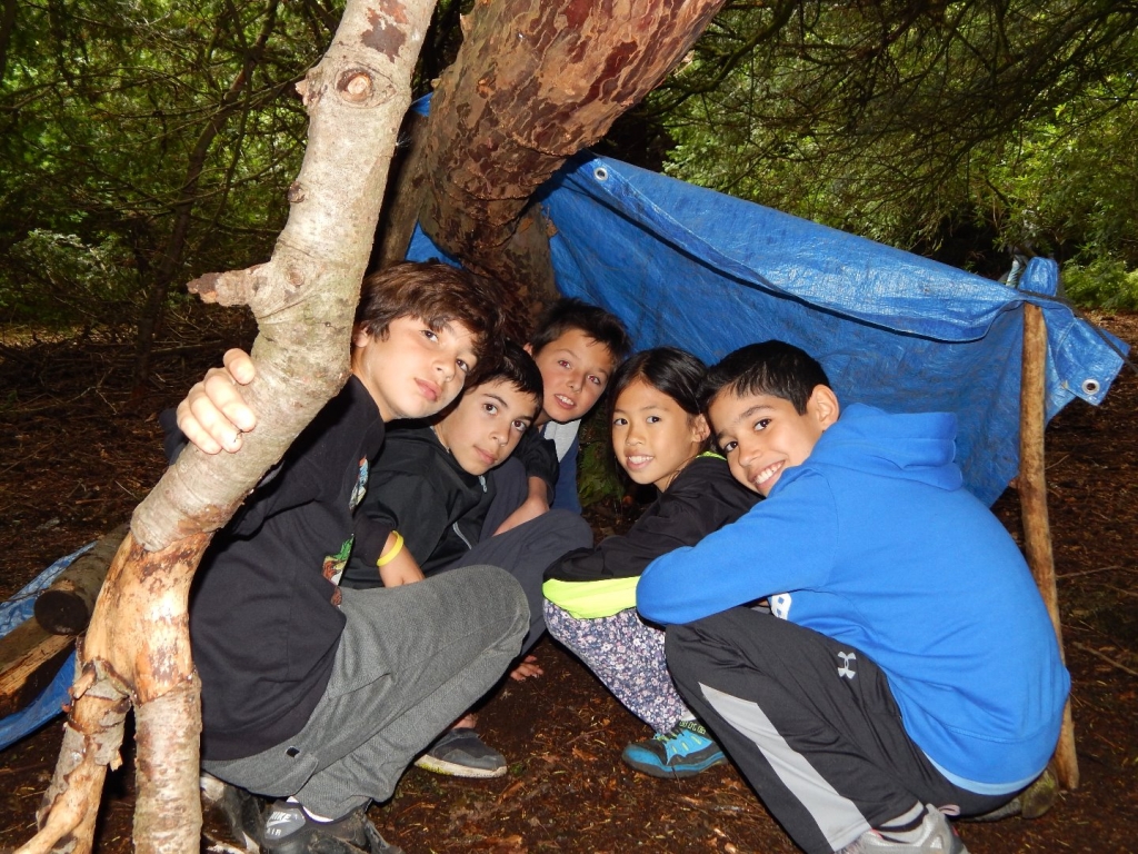 Village Camps International Summer Camp England 2024-07-27 https://www.villagecamps.com/journals_admin/images/1943-2105-4783.jpg Village Camps International Summer Camp England 2024-07-27 https://www.villagecamps.com/journals_admin/images/1943-2105-4783.jpg