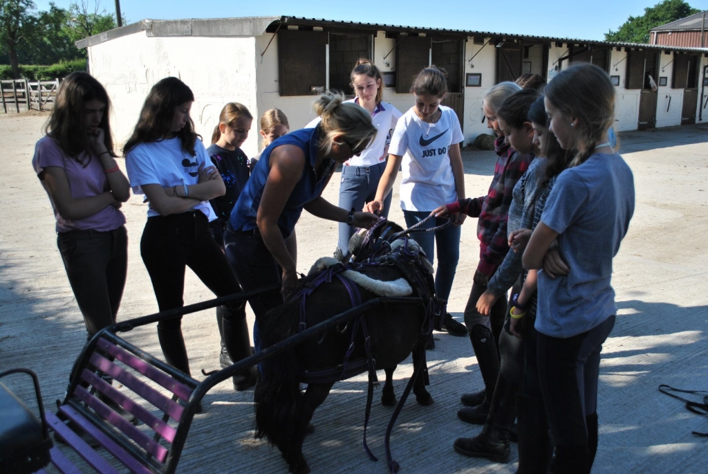 Village Camps International Summer Camp England 2024-07-27 https://www.villagecamps.com/journals_admin/images/1994-2122-DSC_3154.jpg Village Camps International Summer Camp England 2024-07-27 https://www.villagecamps.com/journals_admin/images/1994-2122-DSC_3154.jpg