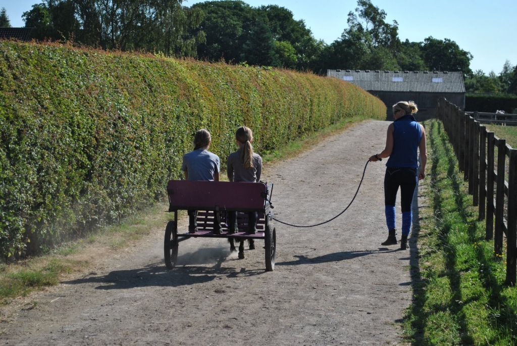 Village Camps International Summer Camp England 2024-07-27 https://www.villagecamps.com/journals_admin/images/1994-2122-DSC_3160.jpg