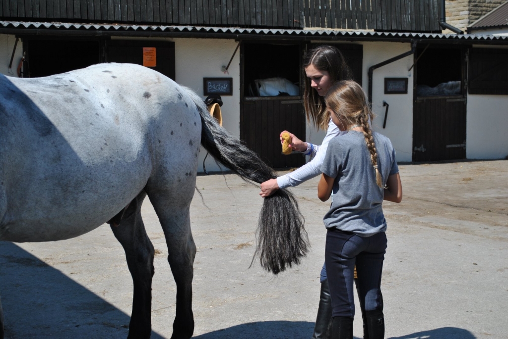 Village Camps International Summer Camp England 2024-07-27 https://www.villagecamps.com/journals_admin/images/1994-2124-DSC_3290.jpg