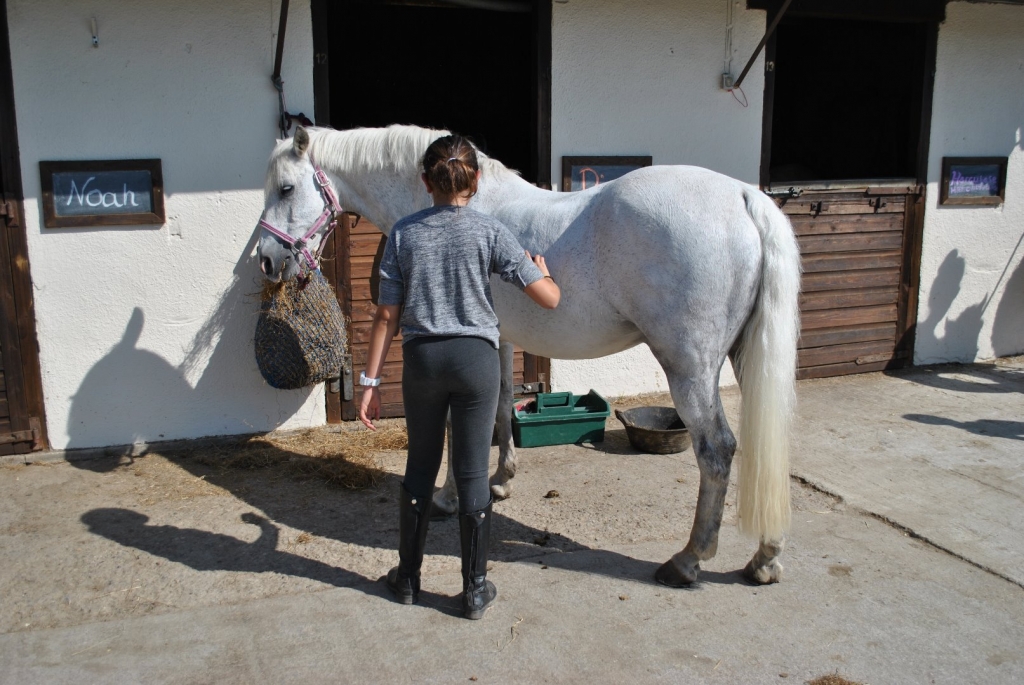 Village Camps International Summer Camp England 2024-07-27 https://www.villagecamps.com/journals_admin/images/1994-2126-DSC_3208.jpg